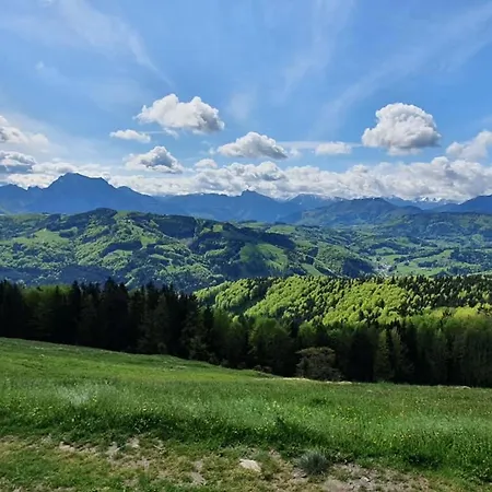 Apartment Holzhaus Zum Schwarz'n *
