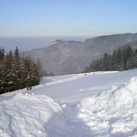 Holzhaus Zum Schwarz'n * Aurach am Hongar