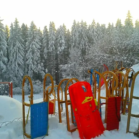 Holzhaus Zum Schwarz'n Aurach am Hongar