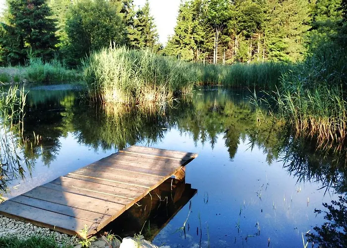 Holzhaus Zum Schwarz'n * Aurach am Hongar