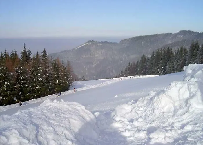 Holzhaus Zum Schwarz'n * Aurach am Hongar