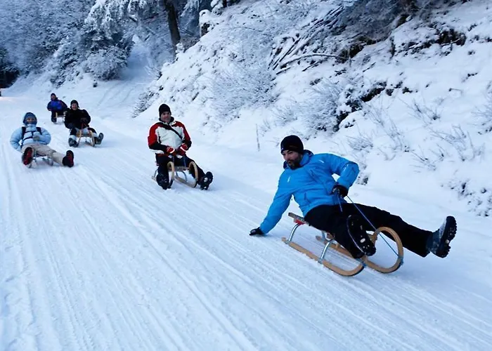 Apartment Holzhaus Zum Schwarz'n Aurach am Hongar