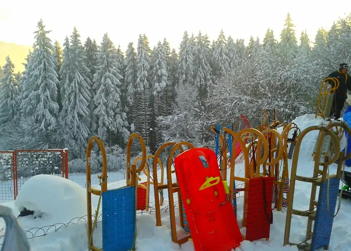 Holzhaus Zum Schwarz'n Aurach am Hongar