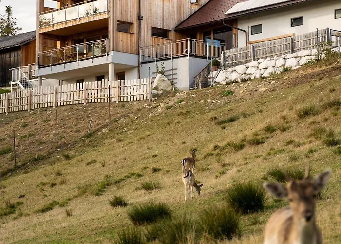 Holzhaus Zum Schwarz'n